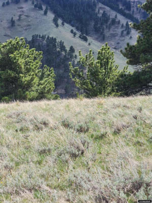 LOT 15 ELK RIDGE SUBDIVISION STREET, BUFFALO, WY 82834, photo 3 of 20