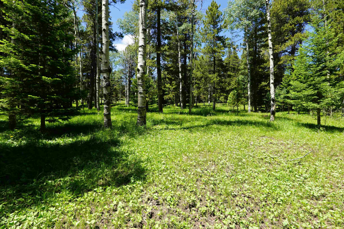 000 HUMMING BIRD LOT 20 TRAIL, CASPER, WY 82601, photo 1 of 8