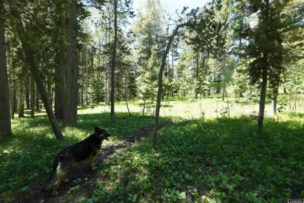 000 HUMMING BIRD LOT 20 TRAIL, CASPER, WY 82601, photo 2 of 8